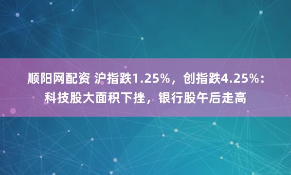 顺阳网配资 沪指跌1.25%，创指跌4.25%：科技股大面积下挫，银行股午后走高